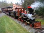 Locomotive Steam Engine Train Rides Day Trip Train Rides For Theme Park