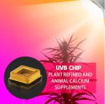 290nm 293nm 295nm UV LED Chips 300nm 305nm 310nm 315nm For Medical Treatment
