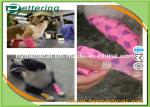 Non woven Horse cohesive bandage equine bandage hoof wrap bandage