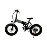 Battery Powered 20 Inch Fat Tire Electric Bike