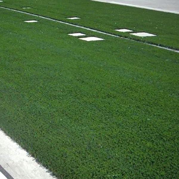 Outdoor Playground Tennis Court Artificial Grass / Jogging Track Fake Plastic