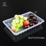 20.5cm PP Food Packaging