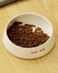 Nutritional Cat Food Flavors For Improving Pet Food Palatability