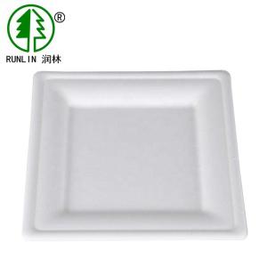 Quality Birthday Cake Eco Friendly Dishes Easy Takeaway SGS Disposable Rectangular Plates wholesale
