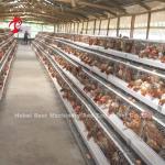 Nigeria Warehouse Premium And Deluxe Poultry Battery Cage System For Layer