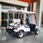 White LED Termite Golf Cart Buggies 3.5KW Motor Color Customization