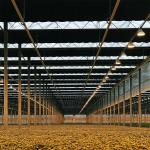 Commercial Automatic Blackout Greenhouse Polyethylene Film Material Made