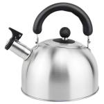 Household stainless steel electric OEM tea pot hot water whistling kettle