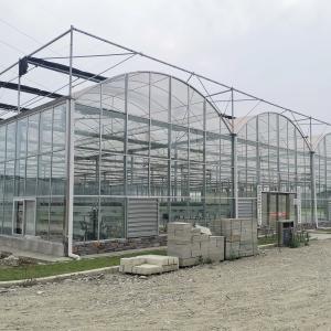 Quality Hydroponics Tomato Cucumber Flower Film Arch Automatic Multispan Glass Greenhouse wholesale