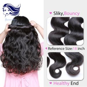Quality 100 Virgin Malaysian Hair Extensions Shedding Free Body Weave wholesale