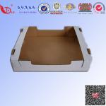 Fashion tray Good Quanlity carton Box for Packing fruit and vegetable paper