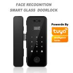 Aluminum ABS Tuya Smart Lock Face Recognition Fingerprint Frameless Glass Door