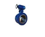 Graphite Flanged Wafer Butterfly Valve DN80 PN 40 Triple Eccentric Butterfly
