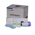 G029 BTXJ-III Acid fluorescence yellow latent blood footprint