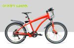 Red 38km/h Electric Pedal Assist Mountain Bike 48V 500W Gear Motor