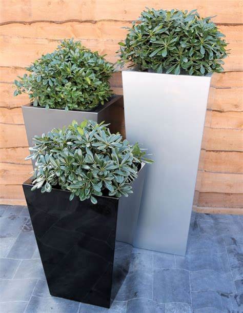 Square Fiberglass Flower Planter Pots For Indoor And Outdoor