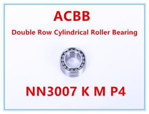 Quality NN3007 K M W33 P4 Double Row Cylindrical Roller Bearing wholesale
