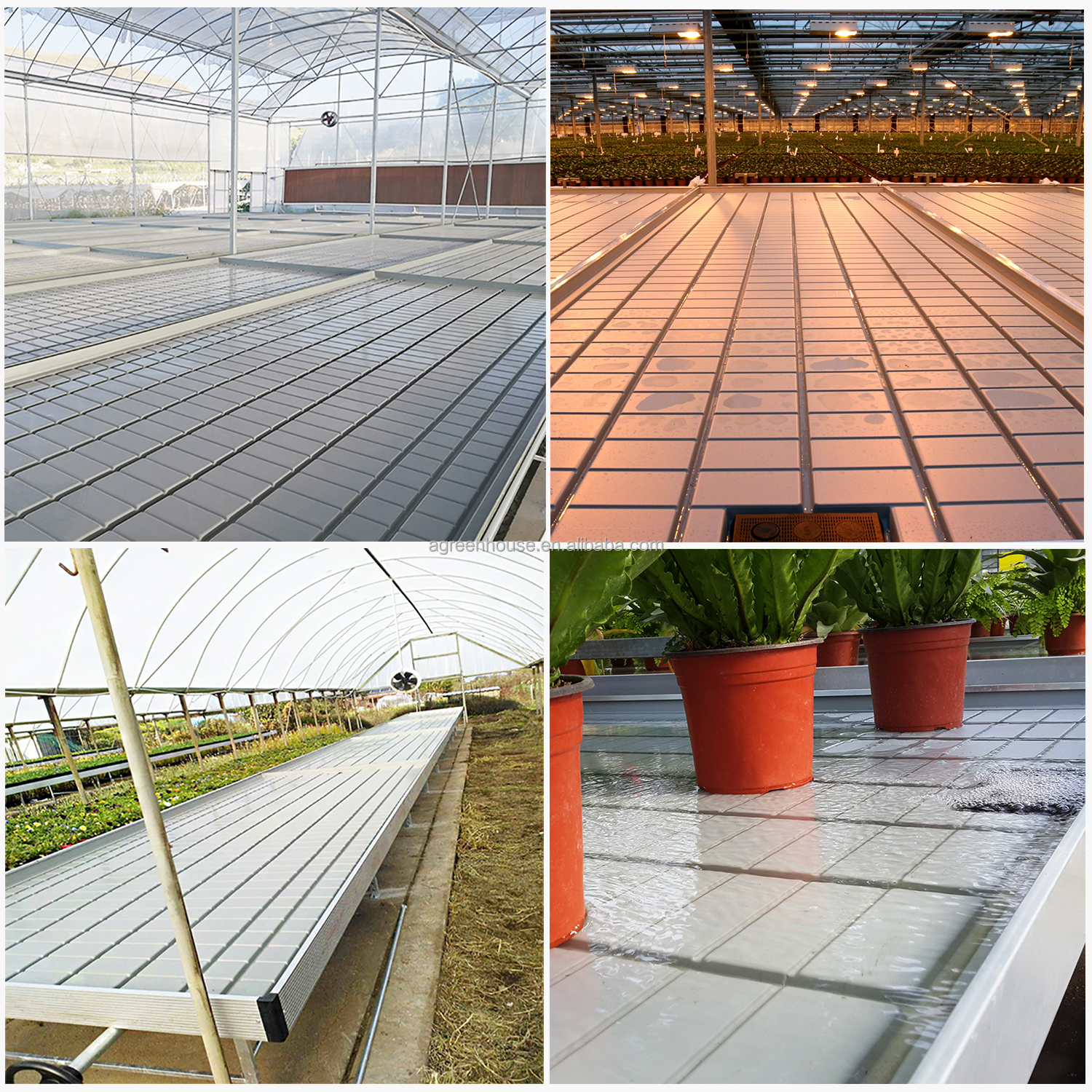 Ebb And Flow Vertical Grow Flood Table Film Greenhouse Rolling Benches
