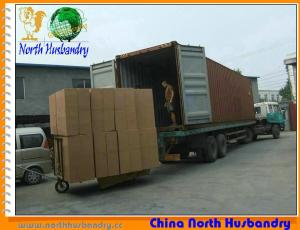 Quality Supply poultry evaporative cooling pad for Greenhouse wholesale