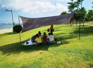Quality UV Resistant Lightweight Polyethylene waterproof sheet with Reinforced Edges wholesale
