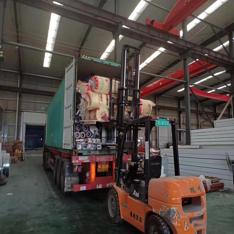 Prefabricated Galvanized Steel Frame Flat Pack Container House for Luxury Villa Homes
