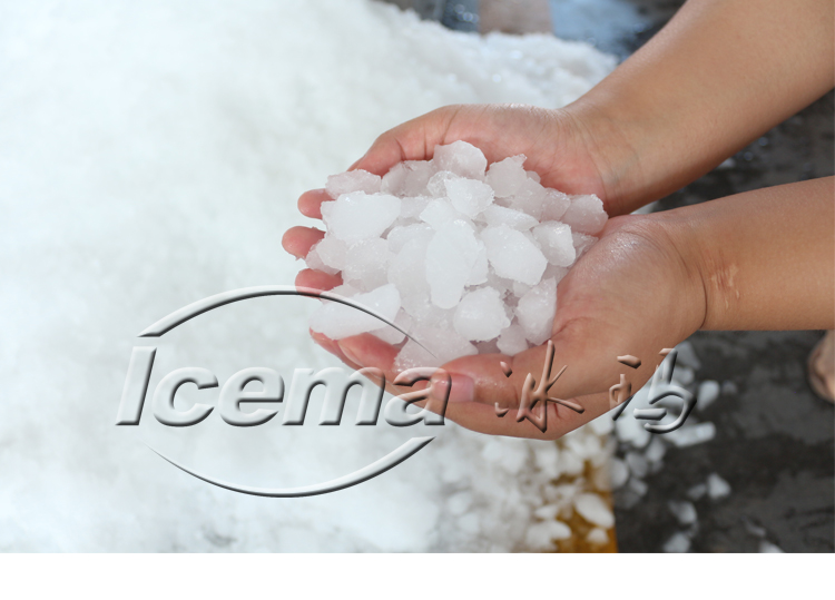 Fresh Keeping Bitzer Compressor ICEMA Mini Ice Maker Machine For Portable Ice Production
