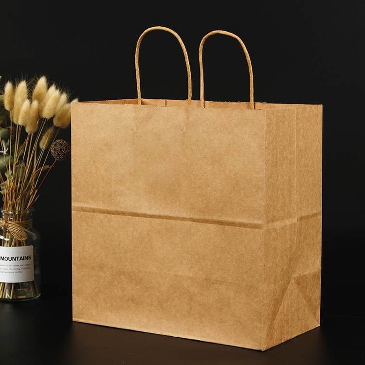 Different Types Kraft Paper Gift Shopping Bags With Twisted Handles