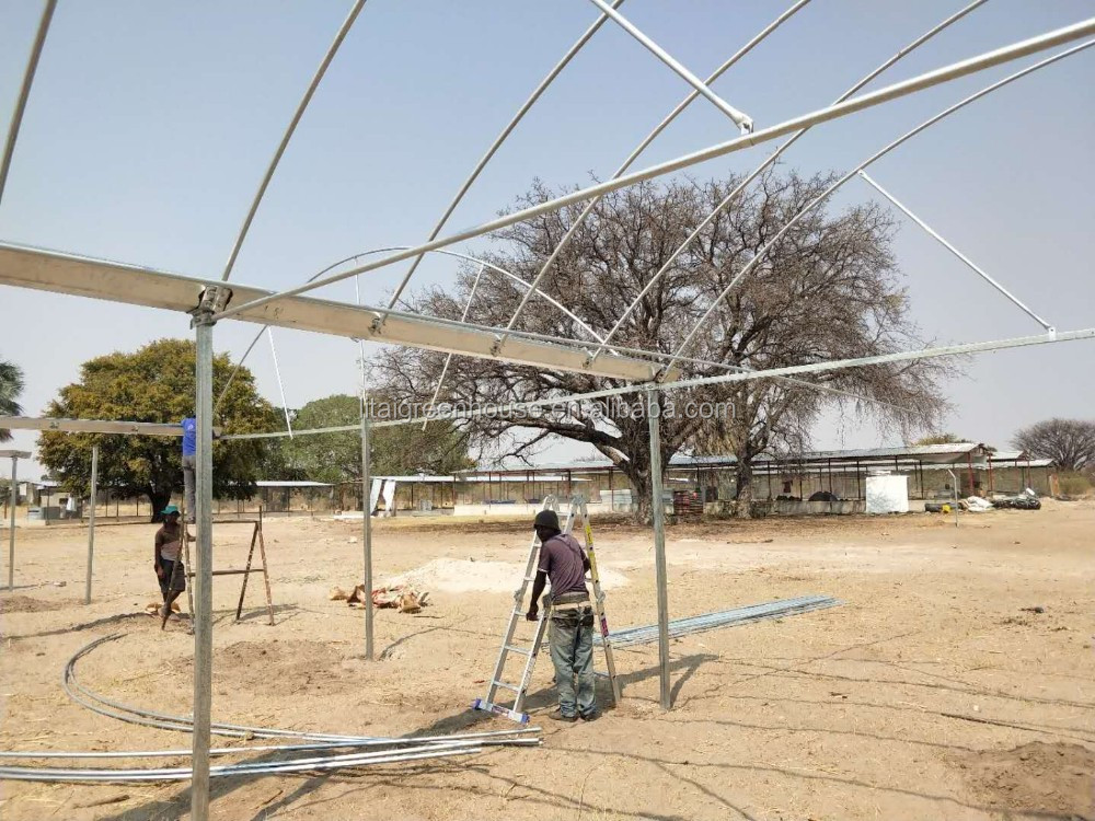 Namibia Africa Gutter Connected Greenhouse with Optimal Ventilation and Single Layer