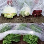120Gsm Spunbond Mulching Sheet For Agriculture