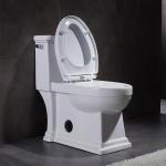 Heritage American Standard One Piece Elongated Toilet Soft Closing Seat 29in