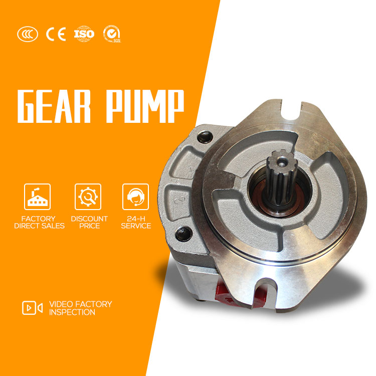 Restaurant High Pressure Pump Gear Pumps Hydraulic Oil Pumps for Road Roller