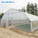 High Tunnel Vegetables Planting Single Span Vegetable Tunnel Plastic Film