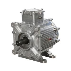 Quality Permanent Magnet 8 pole AC 110KW 2500RPM Steam Turbine Motor wholesale