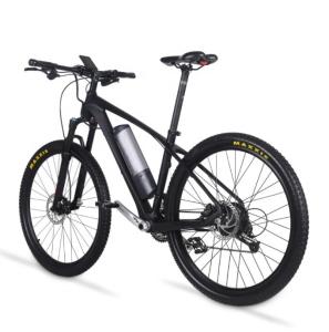 Quality 30 - 50Nm Torque Carbon Fibre Electric Mountain Bike With 250W Rear Hub Motor 27 Speed wholesale