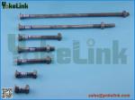 Hot dip galvanized Carriage bolt