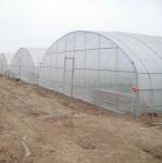 Stable Structure Tunnel Greenhouse for Vegetable Fruits Flowers in Ghana Easy