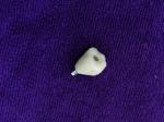 Great Biocompatibility ANKYLOS Dental Implant Supported Crown