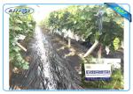 Anti UV PP Non Woven Landscape Fabric for Agricultural Area as Ground Coverings