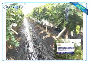 Quality Anti UV PP Non Woven Landscape Fabric for Agricultural Area as Ground Coverings or Plant Bags wholesale