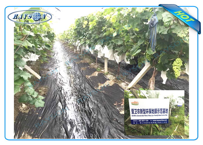 Black or White Color Non Woven Landscape Fabric , 3% UV Polypropylene Non Woven Fabric