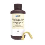 Transparent Biocompatible Resin Temporary Restorations Dental Resin 3d