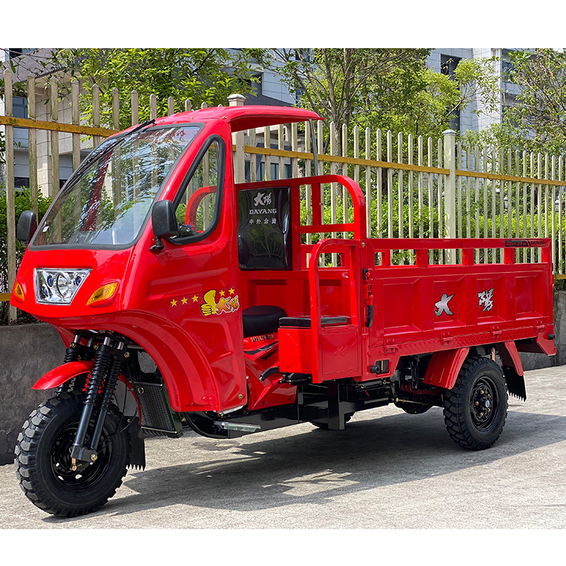 250CC Petrol Gasoline Closed Three Wheels Motorcycle for Heavy Duty Cargo Transport
