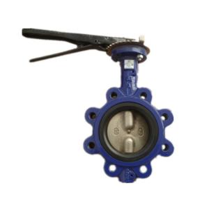Quality Two Shaft Butterfly Valve Flange Type Ptfe U Type For Regulating Water Pressure wholesale