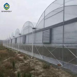 Quality Clear Sawtooth Roof Multi Span Greenhouse Plastic Sheeting ISO9001 2008 wholesale