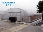 Tunnel Cover Reinforced Clear Poly Sheeting Polyethylene Film Greenhouse