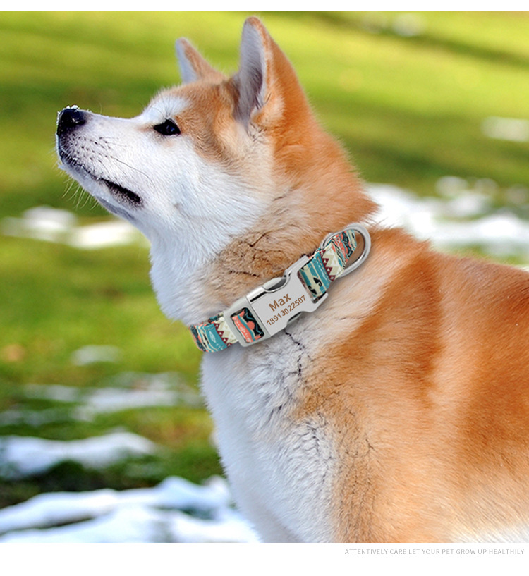 Heat Transfer puppy harness and leash rubber mixture available