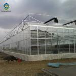 120km/H Agricultural 9.6m Multi Span Glass Greenhouses
