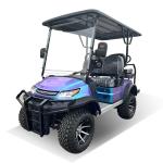 4 Seater Golf Cart Lead Acid Battery Factory Direct Sales Cheap Price Excellent