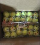 commom size tennis ball for promation
