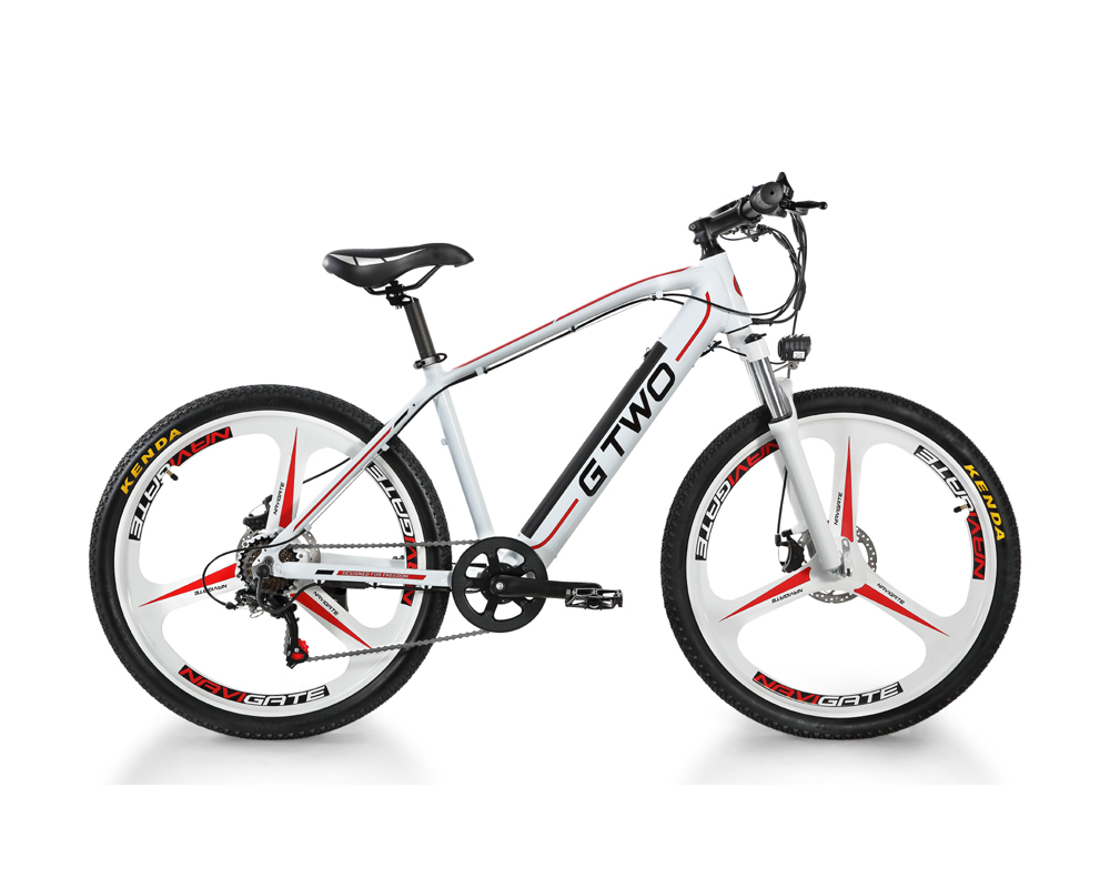 Magnesium Alloy Hidden Battery Electric Bicycle 48V 250W 350W 26 / 27.5 Inch Hub Motor